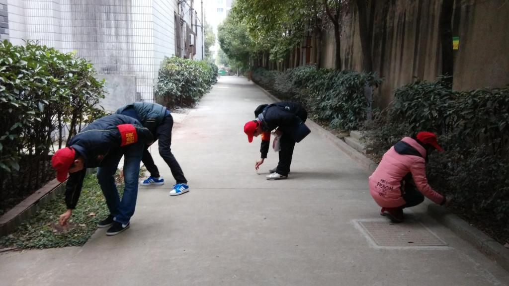 西区雷锋巡逻队,爱护校园行