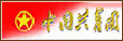 中国共青团